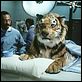Dr. Dolittle : foto Eddie Murphy