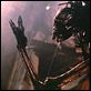 A Experiência 2 - A Mutação : foto Michael Madsen