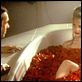 Beleza Americana : foto Kevin Spacey, Mena Suvari