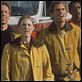 Evolução : foto David Duchovny, Julianne Moore, Orlando Jones, Seann William Scott
