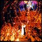 Moulin Rouge - Amor em Vermelho : foto Baz Luhrmann