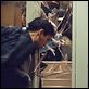 Beijo do Dragão : foto Jet Li