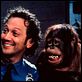 Animal : foto Rob Schneider