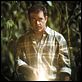 Sinais : foto Mel Gibson