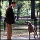 Encontro de Amor : foto Ralph Fiennes