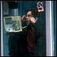 Por um Fio : foto Colin Farrell
