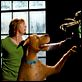 Scooby-Doo 2 - Monstros à Solta : foto Matthew Lillard