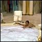 Scarface : foto Al Pacino