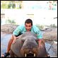 Como Se Fosse a Primeira Vez : foto Adam Sandler