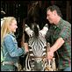 Deu Zebra! : foto Bruce Greenwood, Hayden Panettiere