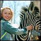 Deu Zebra! : foto Hayden Panettiere