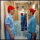 A Vida Marinha com Steve Zissou : foto Owen Wilson, Willem Dafoe