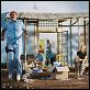 A Vida Marinha com Steve Zissou : foto Bill Murray, Cate Blanchett