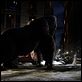 King Kong : foto Naomi Watts