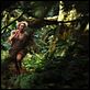 King Kong : foto Naomi Watts