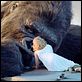 King Kong : foto Naomi Watts