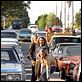 Os Reis de Dogtown : foto Emile Hirsch, John Robinson