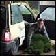 As Loucuras de Dick e Jane : foto Jim Carrey