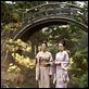 Memórias de uma Gueixa : foto Michelle Yeoh, Zhang Ziyi