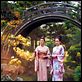 Memórias de uma Gueixa : foto Michelle Yeoh, Zhang Ziyi