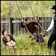 O Assassinato de Jesse James pelo Covarde Robert Ford : foto Brad Pitt, Mary-Louise Parker