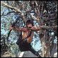 Rambo 2 - A Missão : foto Sylvester Stallone