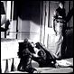 Vontade Indômita : foto Gary Cooper, Patricia Neal