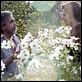 Munique : foto Eric Bana, Michael Lonsdale