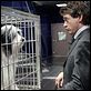Soltando os Cachorros : foto Robert Downey Jr.