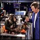 Soltando os Cachorros : foto Tim Allen