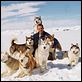 Resgate Abaixo de Zero : foto Paul Walker