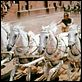 Ben-Hur : foto Charlton Heston