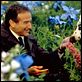 Amor Além da Vida : foto Robin Williams