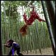 DOA - Vivo ou Morto : foto Devon Aoki, Natassia Malthe