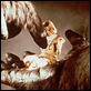 King Kong : foto Jessica Lange