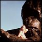 King Kong : foto Jessica Lange