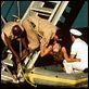 King Kong : foto Jessica Lange