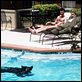 Borat - O Segundo Melhor Repórter do Glorioso País Cazaquistão Viaja à América : foto Sacha Baron Cohen