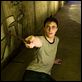 Harry Potter e a Ordem da Fênix : foto Daniel Radcliffe