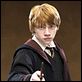 Harry Potter e a Ordem da Fênix : foto Rupert Grint