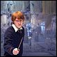 Harry Potter e a Ordem da Fênix : foto Rupert Grint
