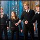 Harry Potter e a Ordem da Fênix : foto Rupert Grint