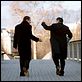 Meu Melhor Amigo : foto Daniel Auteuil, Dany Boon