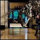 Uma Noite no Museu : foto Ben Stiller
