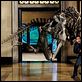 Uma Noite no Museu : foto Ben Stiller