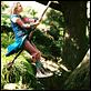 Ponte para Terabítia : foto AnnaSophia Robb