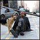 Eu Sou a Lenda : foto Will Smith