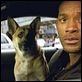 Eu Sou a Lenda : foto Will Smith