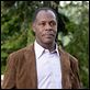 Atirador : foto Danny Glover