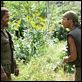 Trovão Tropical : foto Brandon T. Jackson, Robert Downey Jr.